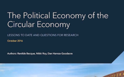 The Political Economy of the Circular Economy