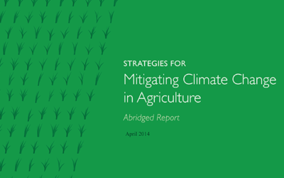 Strategies for Mitigating Climate Change in Agriculture