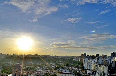 Investing in Carbon Removal: Demystifying Existing Approaches