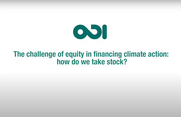 Equity in Financing Climate Action