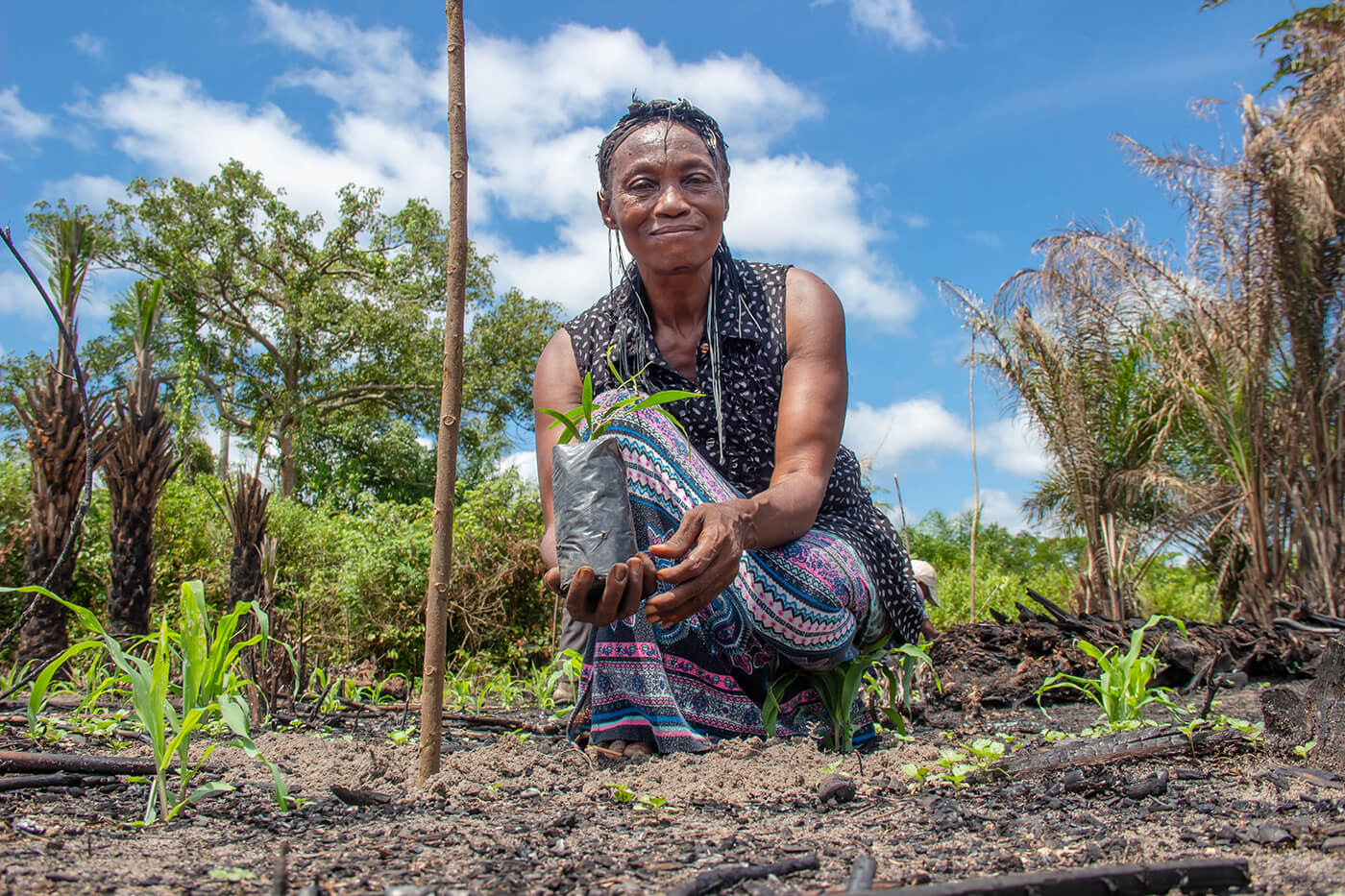 State of climate action: Assessing progress toward 2030 and 2050