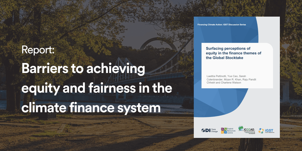 Image for Surfacing perceptions of equity in the finance themes of the Global Stocktake