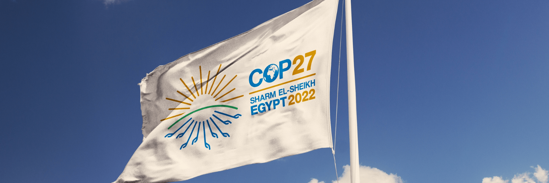 COP27 flag