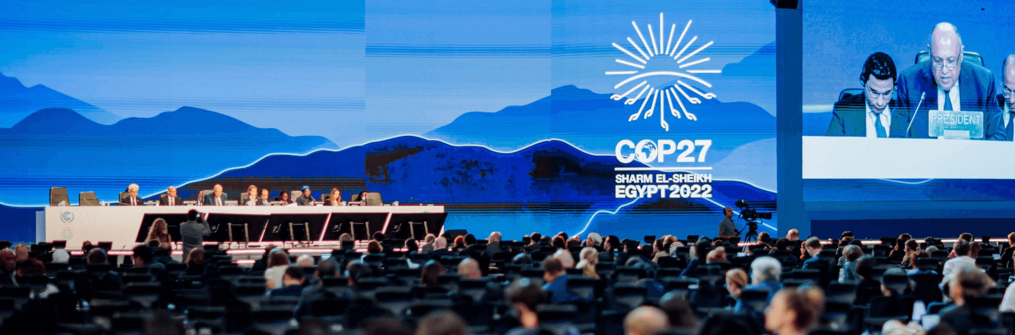 COP27 plenary