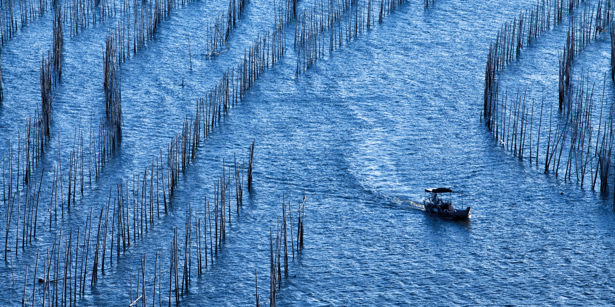 Ocean-based carbon dioxide removal landscape in China