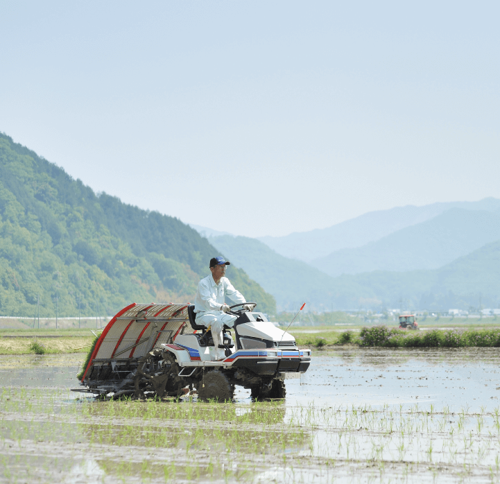 Reducing Methane Emissions in the Global Food System