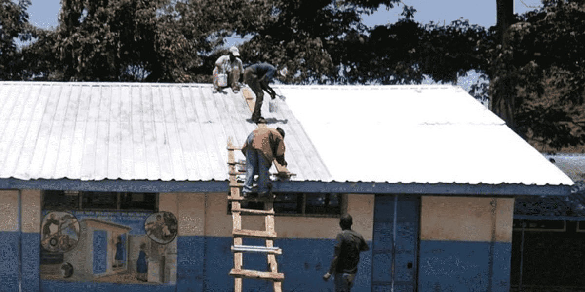 Million Cool Roofs Challenge: Local Champions for a Global Movement