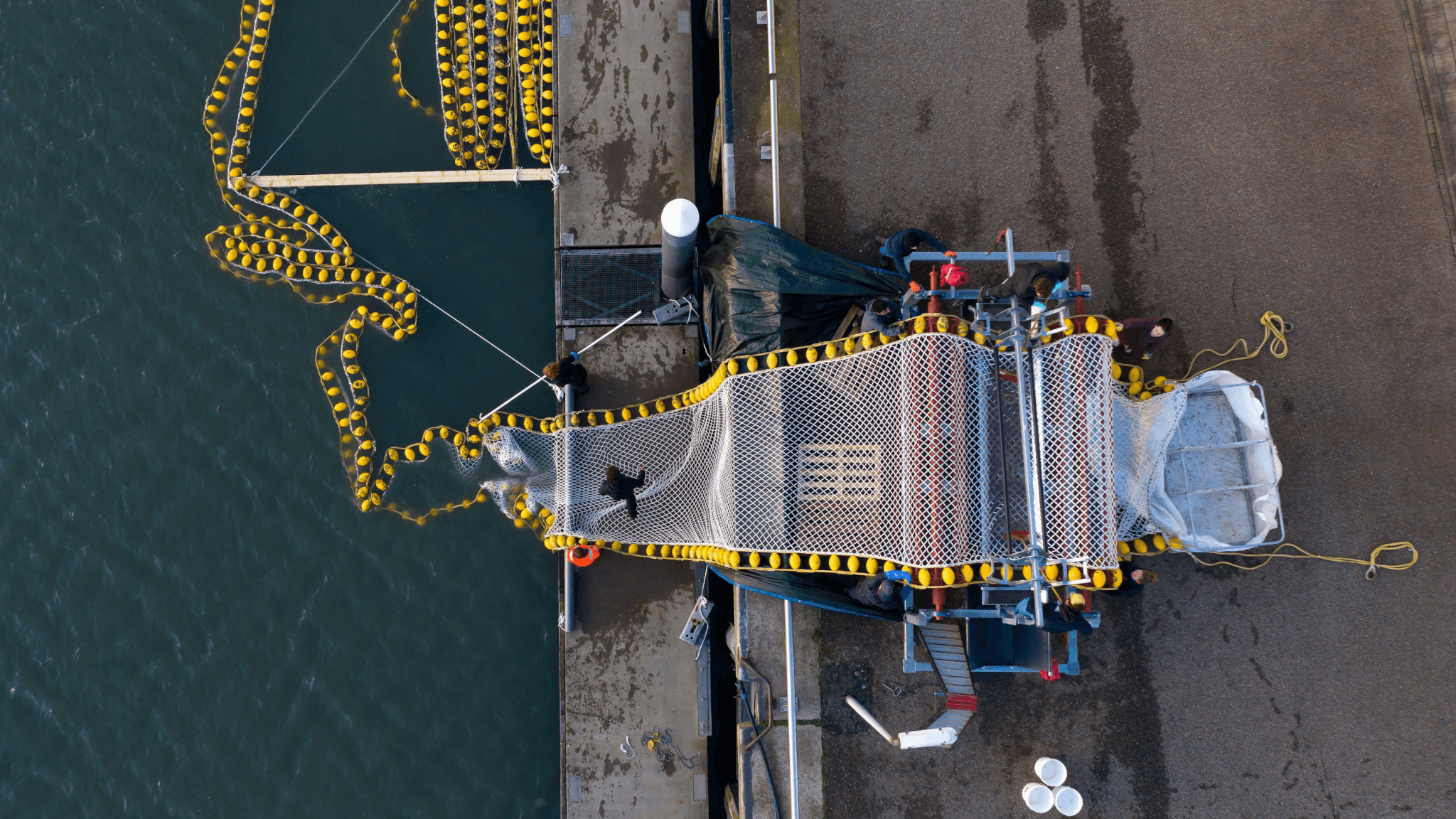 Labor and community development opportunities associated with seaweed-based climate solutions in North America