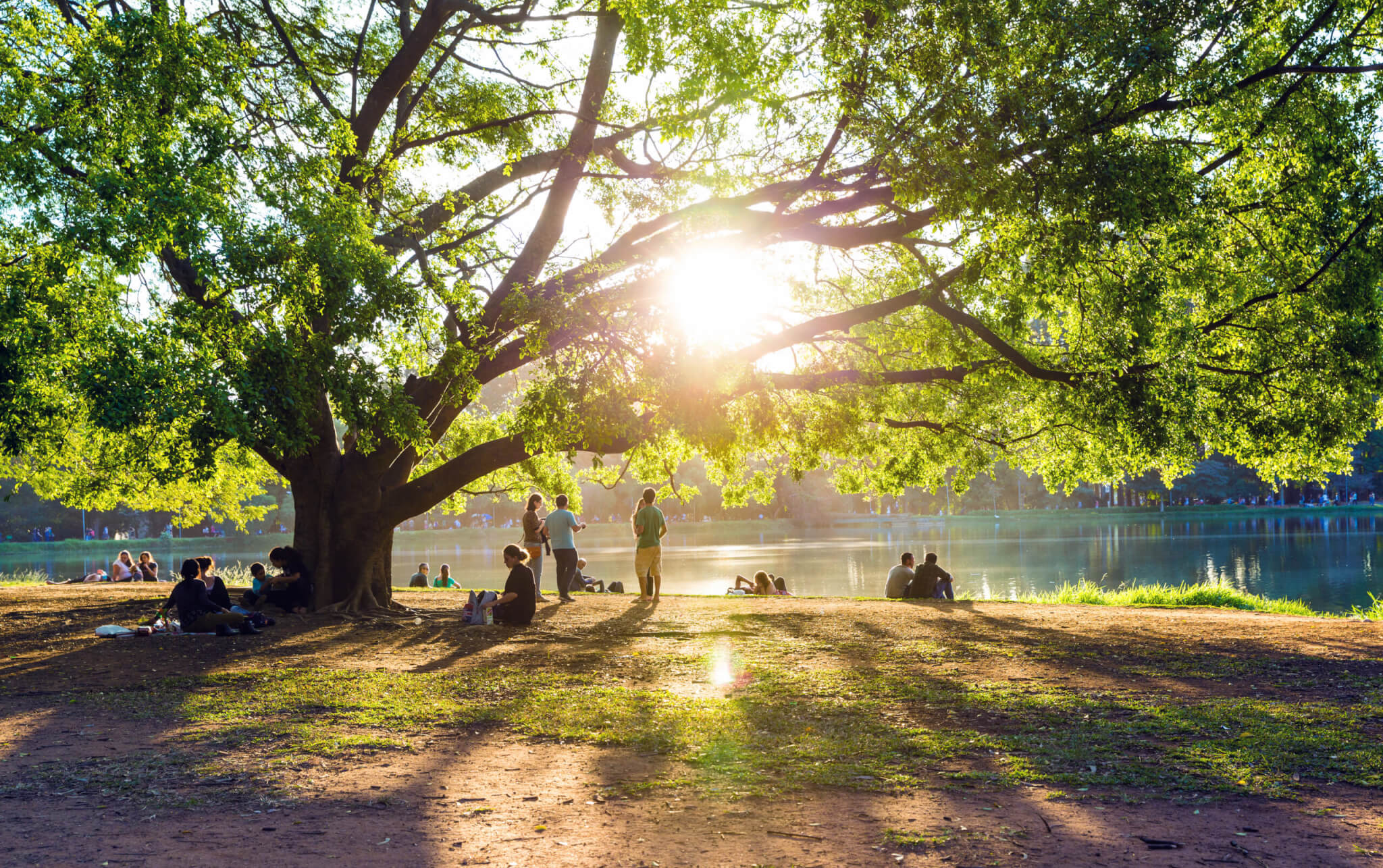 Funding trends 2024: Climate change mitigation philanthropy