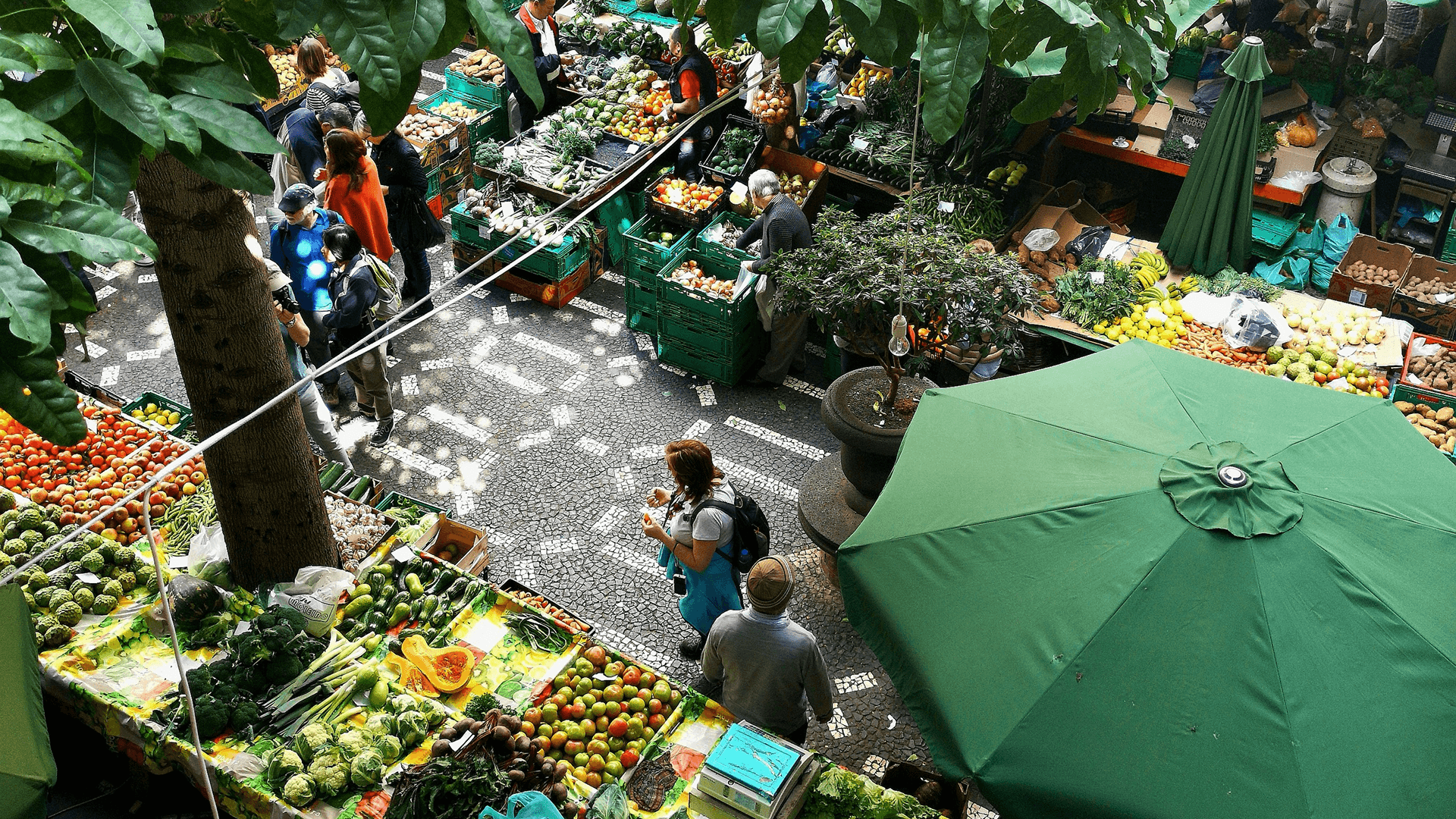 Debunking false narratives that dominate the food and agriculture industry
