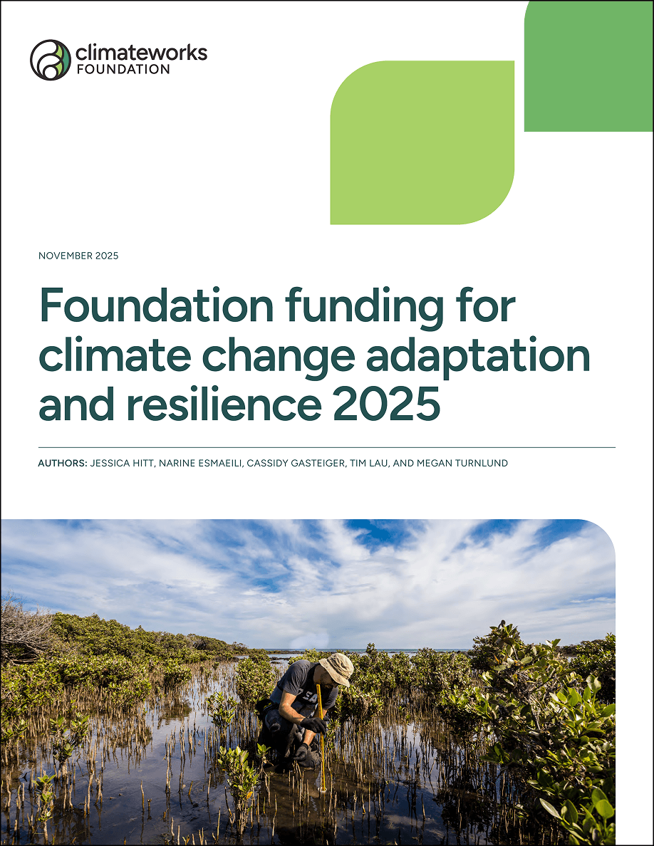 Foundation funding for climate change adaptation and resilience 2025 ...