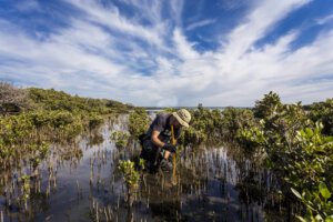 Foundation funding for climate change adaptation and resilience 2025