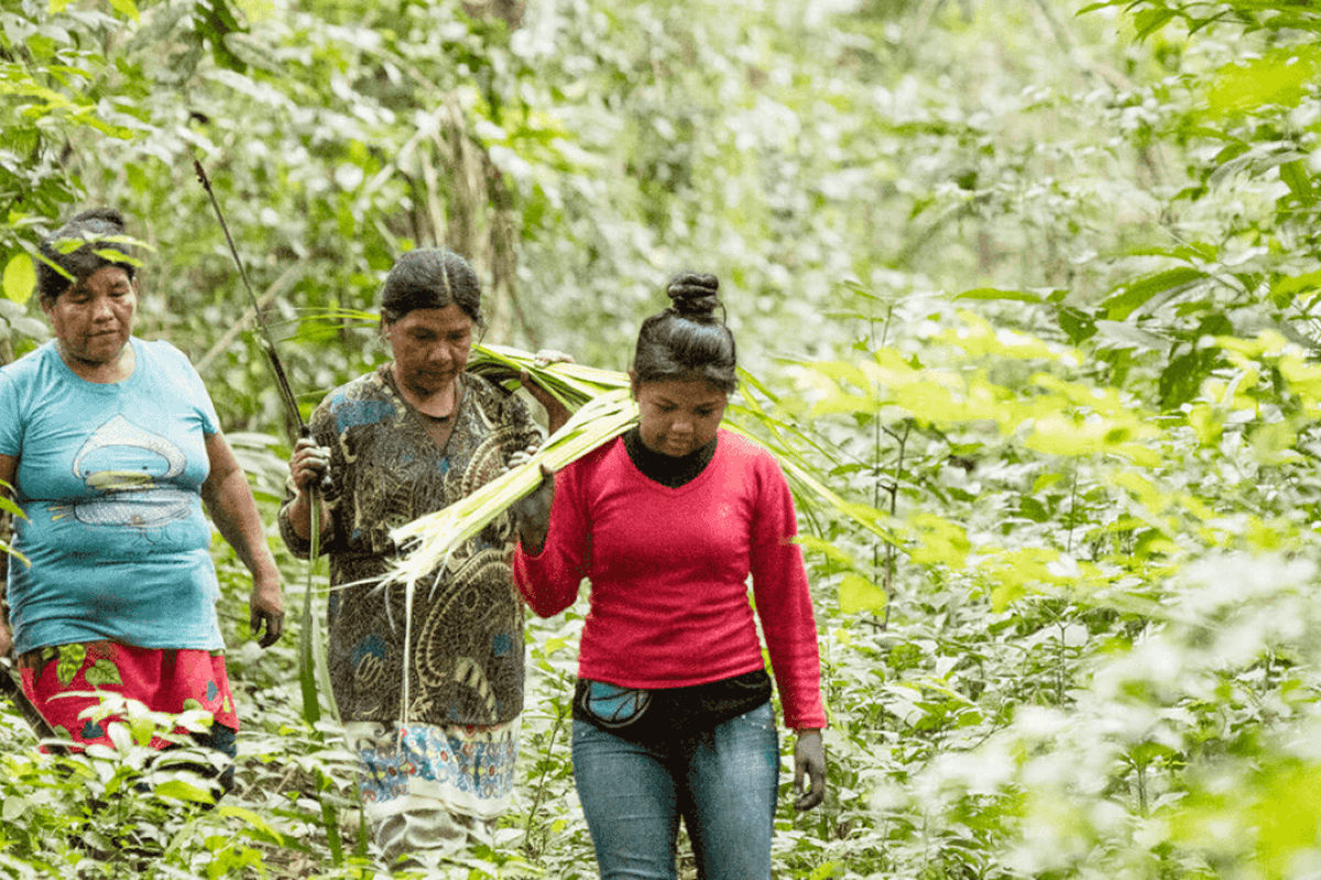 A group of women forage in the Guna Yala, Panama forest. Image courtesy of If Not Us Then Who.