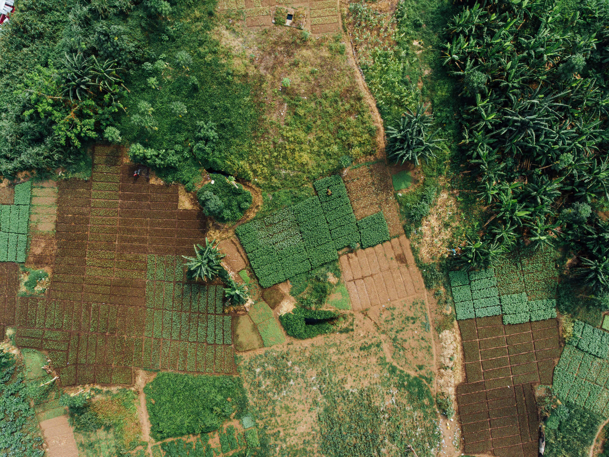 Investing in movement building: How flexible funding is helping agroecology take root across Africa