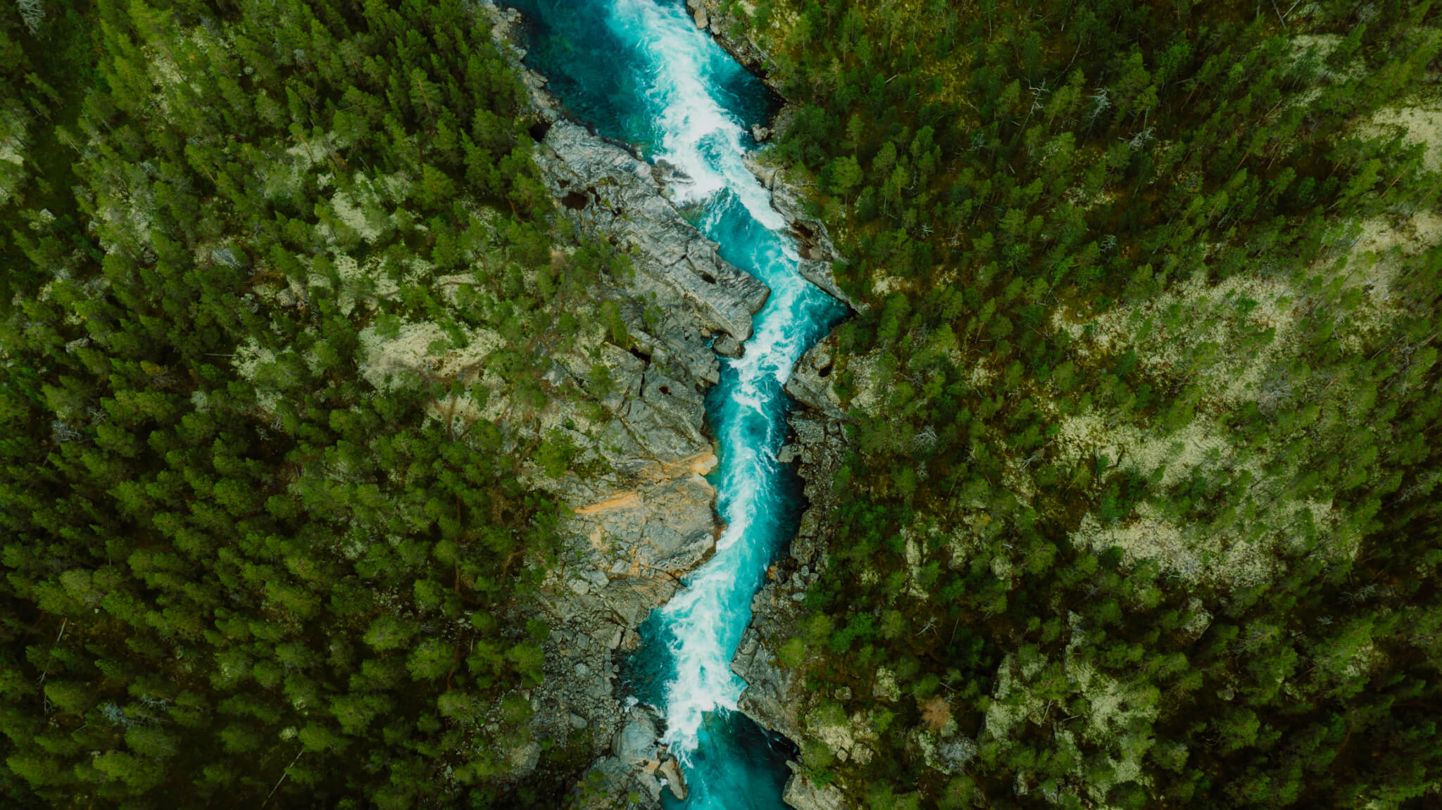 Giving to climate change mitigation has doubled since 2020 — but critical gaps persist Giving to climate change mitigation has doubled since 2020 — but critical gaps persist