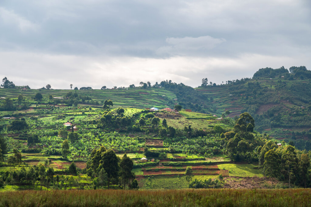 This is a photo in lake Bunyonyi in the south of Uganda.