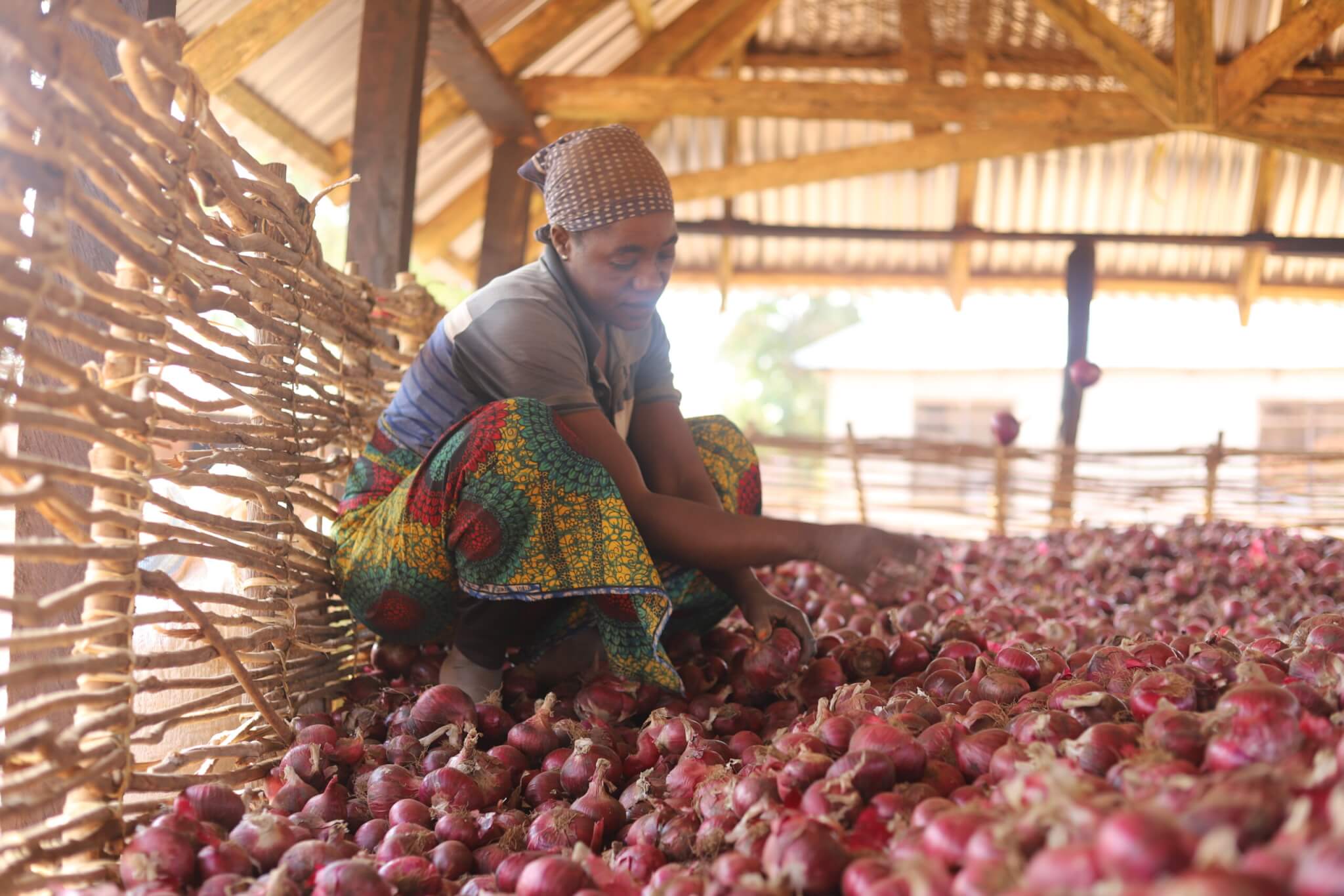 Meet the grantees from our global call for extreme heat solutions